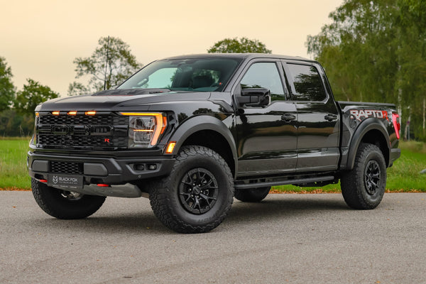 Raptor